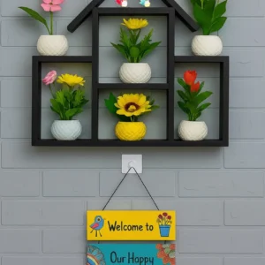 Combo Pack- Black color